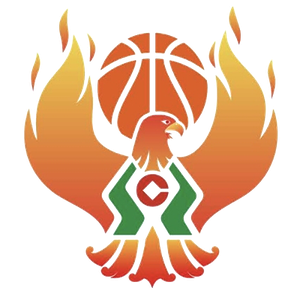 https://img.longdiaoge.com/img/basketball/team/09b49d34027e0409a4de3295f8c71a2d.png