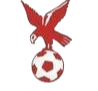 https://img.longdiaoge.com/img/football/team/4802d26df935b78bb2fcdbbff36e8864.png